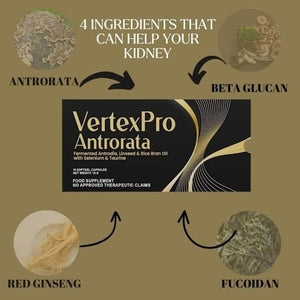 VERTEX PRO ANTRORATA