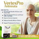 VERTEX PRO ANTRORATA