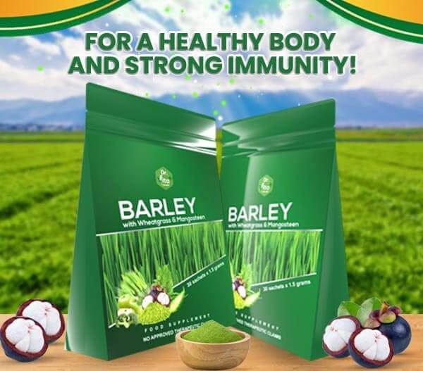 DR. VITA BARLEY WITH WHEATGRASS AND MANGOSTEEN- BEST BARLEY POWDER SUPPLEMENT