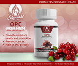 DR. VITA OPC- BEST PROSTATE HEALTH SUPPLEMENT